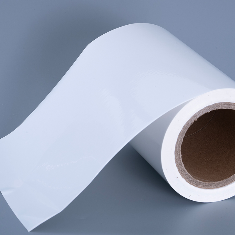 25-микронная глянцевая виниловая пленка из ПЭТ-материала для этикеток с акриловым клеем Jumbo Roll для струйной печати